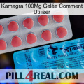 Kamagra 100Mg Gelée Comment Utiliser new14